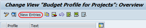 budget profile for project overview