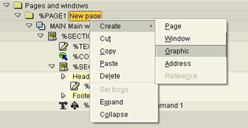 pages and windowssmartforms