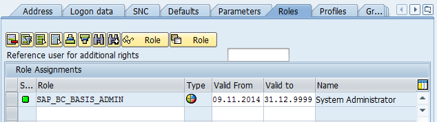 role user in SAP