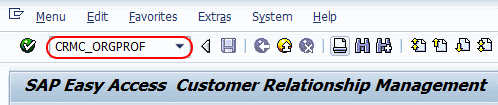 Transaction code CRM ORGPROF