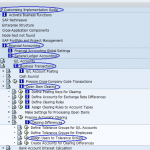 How to Assign Users to Tolerance Groups in SAP