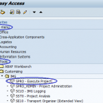 SAP SPRO - SAP Project Reference Object