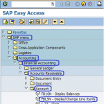 Display Customer Line Items in SAP | FBL5N