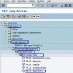 HR Master Data Fast Entry | SAP Menu Path