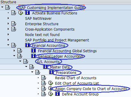 Assign Company Code to Chart Of Accounts SAP