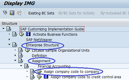 Assign Company code to Company SAP