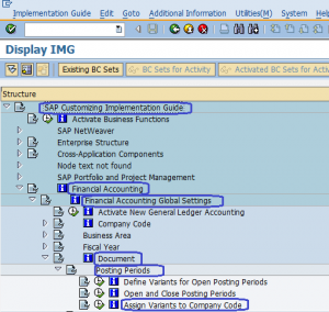 SAP Financial Accounting Global Settings Configuration steps