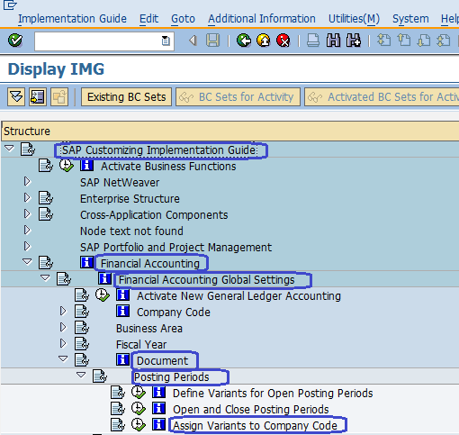 Assign Variants to Company code sap