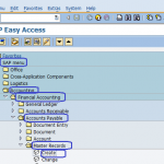 Create Vendor Master SAP Menu Path | Vendor Master Record