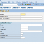 what is Company in SAP FICO?