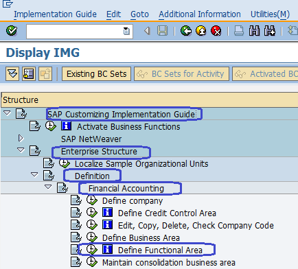 Define Functional Area SAP