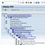 SAP FICO General Ledger Accounting Configuration Steps