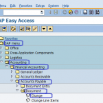 Document change SAP Menu path | Vendor Document change