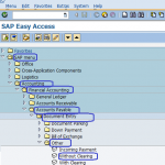 Transfer Posting SAP Menu path | Accounts Payable | SAP Menu path