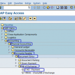 Vendor Bill of Exchange Payment SAP | SAP Menu Path | F-40 SAP