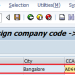 How to Assign Company Code to Credit Control Area in SAP