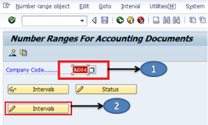 document number assignment sap