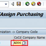 Assign Purchase Organisation to Company Code in SAP