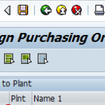 Assign Purchase Organisation to Plant in SAP