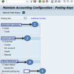 Define Posting Keys in SAP | Account type in SAP