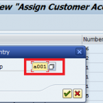 Assign Number Ranges to Customer Account Groups in SAP