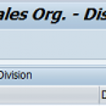 How to Create Sales Area in SAP SD