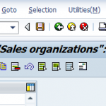 Define Sales Organization in SAP | Create sales Organization SAP SD