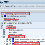 How to Assign Division to Sales Organization in SAP