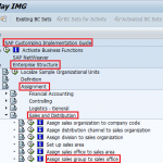 Assign sales group to sales office in SAP SD