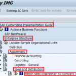 How to Assign Sales Organization to Company Code in SAP