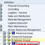 Define Employee Groups and Employee Subgroups in SAP