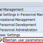 How to Maintain user Parameters SAP