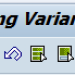 Costing Variants Configuration Steps SAP