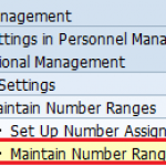 Maintain Number Ranges in Organizational Management in SAP