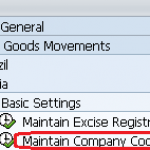 Maintain Company Code Settings in SAP