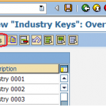 Define Industry sectors for customers in SAP