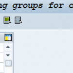 Define Pricing groups for customers in SAP