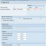Define daily work schedules in SAP