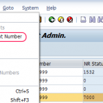 Create number ranges for applicant numbers