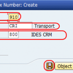 How to Maintain Prefix Number for Organizational Management in SAP