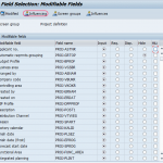 Define Field Selections for Work breakdown Structure in SAP