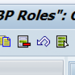 How to Define Business Partner Roles in SAP CRM