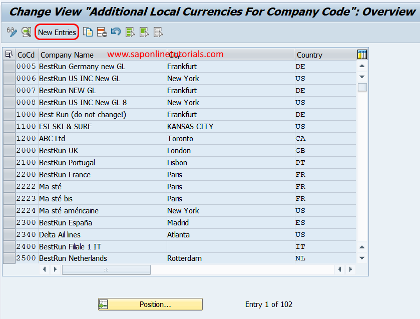 Additional local currencies for company code in SAP