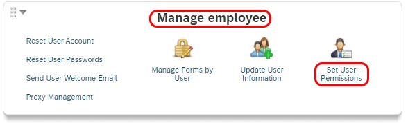 Set user permissions in SuccessFactors