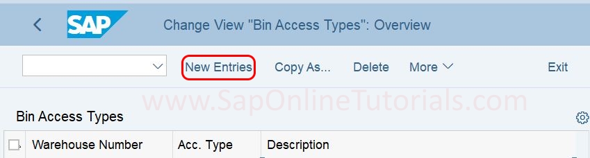 Bin Access Types new entries in SAP S4Hana