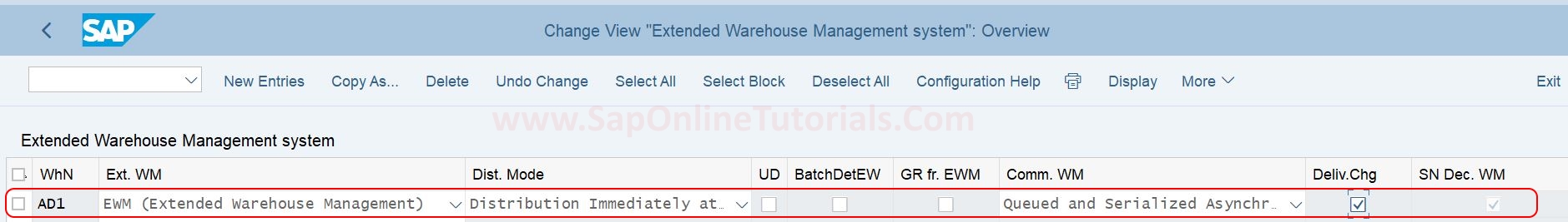 Configure SAP EWM Specific Parameters in SAP EWM Hana