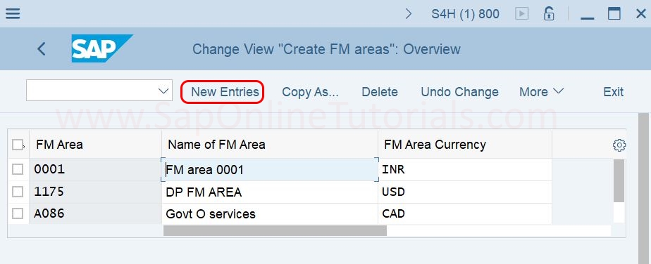 Create FM Areas new entries in SAP S4Hana