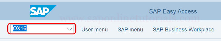 Create company in SAP Hana transaction code