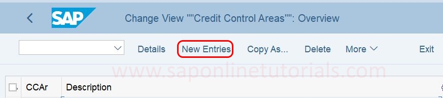 Credit control area new entries in SAP Hana screen