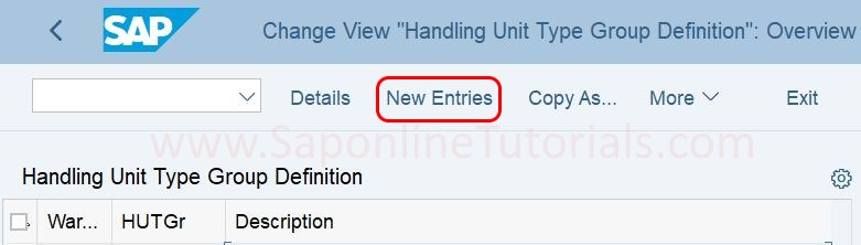 Define Hadling Unit Type Groups new entries in SAP EWM